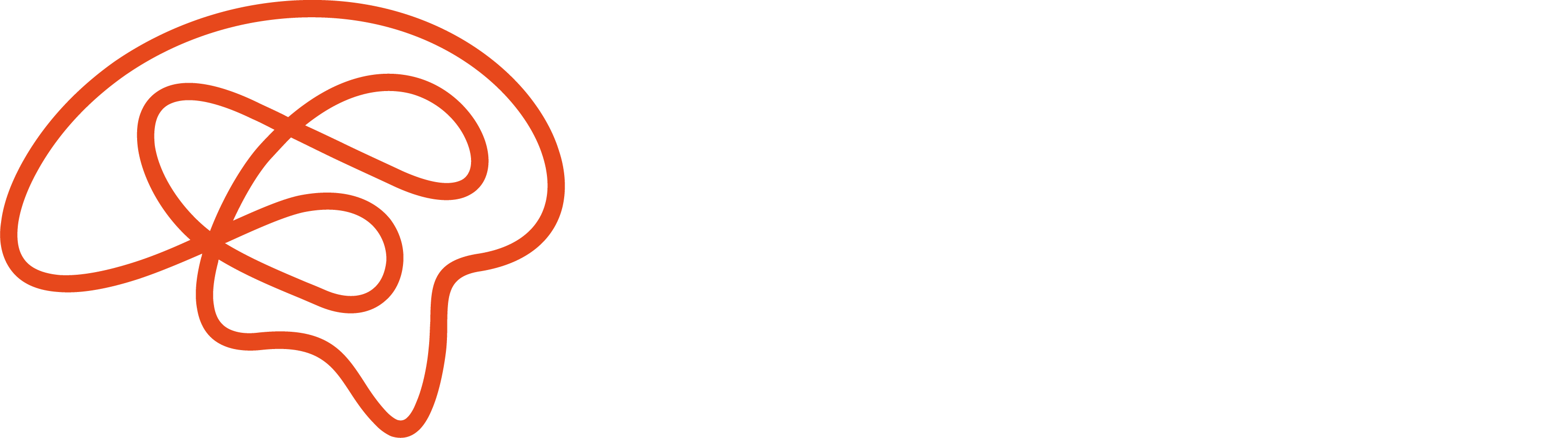 Tim Senn – Neuroathletik